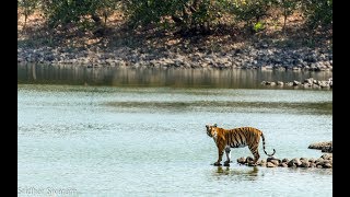 TIPESHWAR WILDLIFE SANCTUARY