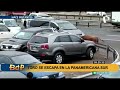 Toro se escapa  y  causa terror en Panamericana Sur