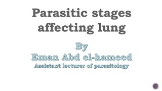 Parasitic Stages in Lung Lab