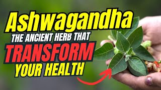 ✅Why ASHWAGANDHA is the BEST NATURAL Stress and Anxiety Solution You're Not Using