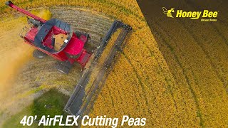 40`AirFLEX Demo | Peas | Manitoba | Drone Footage