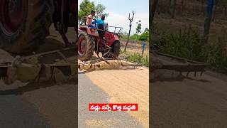 వడ్లు తొందరగా నేర్పడం శ్రమ తక్కవ పని ఎక్కువ #viral #paddy #village #ytshortsindia @prashuagri123