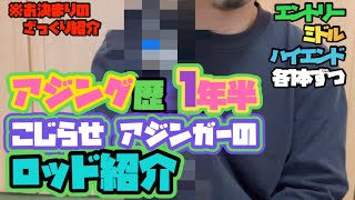 【アジング】歴1年半で使ったロッドゆるっと紹介【エントリー〜ハイエンド】