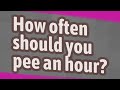 How often should you pee an hour?