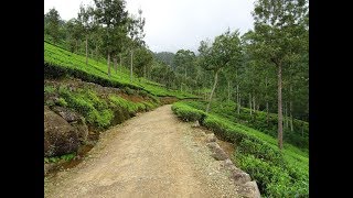 Dayagama to Ambewela New Zealand Farm Trek | ඩයගම සිට අඹේවෙල ගොවිපළ දක්වා (2018) - 2 of 9