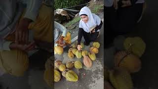 nikmatnya durian asli pulau Simeulue ❤️❤️❤️