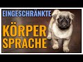 Probleme in der Kommunikation - Hunde mit eingeschränkter Körpersprache  - TGH 365