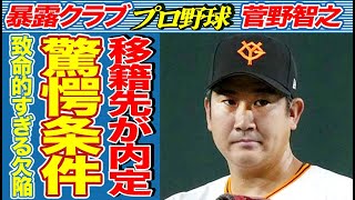 メジャーで人気沸騰中の菅野智之、米メディアが懸念する致命的な「弱点」がヤバすぎる…内定確定の驚愕の真相…気になる年俸は⚫︎⚫︎億円！？その条件に驚きを隠せない…