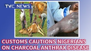 Customs cautions Nigerians on outbreak of charcoal anthrax disease in Niger Republic