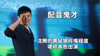 演艺界的配音鬼才，沈腾的黄鼠狼碎嘴程度堪称本色出演，绝绝子