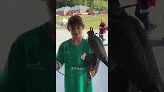 Jasmine holds a Lanner Falcon