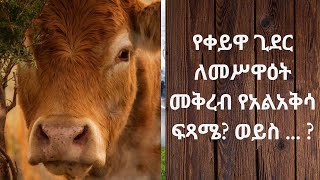 ዓለም በጉጉት የሚጠብቀው ከ20ቀን በኋላ የሚጀምረው የአይሁድ ፋሲካ ምን ጉድ ይዞ ይመጣ ይሆን? ወቅታዊ_17#ድንቅ_ፍጻሜ_ቲዩብ#dinq_fitsame_tube#