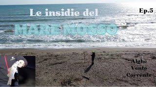 ABC Del Surfcasting- 