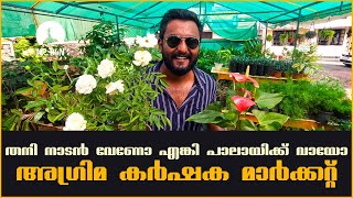 തനി നാടൻ👌🏻Agrima Karshaka Open Market Pala- Place for a healthy organic food culture- Mr Ben Creator