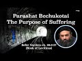 The Purpose of Suffering - Parashat Bechukotai