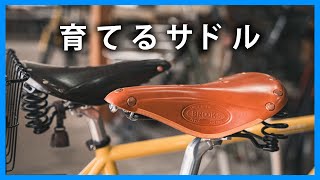 入手困難？100年以上愛されるBROOKSレザーサドルの魅力とおすすめモデル