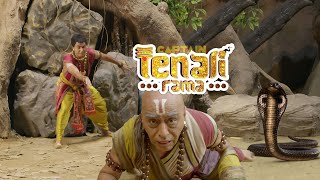 काली घाटी में साँप के बीच फसे भास्कर और तथाचार्य | Tenali Rama - Ep 579 | Full Episode