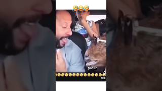 Try Not To Laugh Challenge 🤣😂best funny memes 🤣 #comedy #funny #memes #animals #shorts