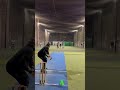 batsman quick short cameo impact 🏏 cricket spin bowler got his revenge bowled 🔥 cricket shorts