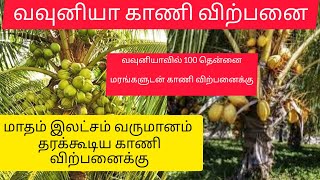 இலச்சங்கள் வருமானம் தரும் காணி விற்பனைக்கு/land for sale vavuniya