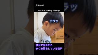 横目で歩く練習する赤ちゃん。1year 4month old. （practice looking sideways） #1歳 #baby #赤ちゃん #toddlers #1year