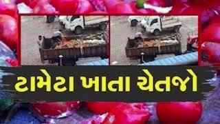 Surat | જો તમે પણ સસ્તા ટામેટા ખાતા હોવ તો થઈ જજો સાવધાન | સુરતથી મોટો ઘટસ્ફોટ સામે આવ્યો છે.