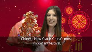 2021 Chinese New Year Festival