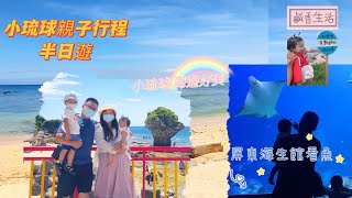 屏東海生館/小琉球當天來回/看海龜囉/親子行程【奕起遛小孩】