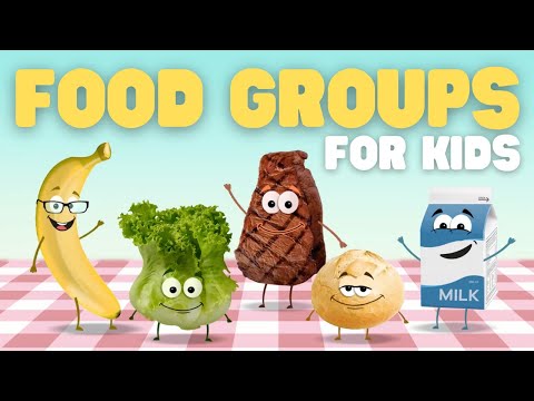 What are the five basic types of food a person should eat?