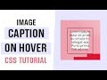 Image Caption on Hover | Image Hover Effects CSS | CSS Tutorial