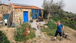 DIY Shed #3 - THIS IS GOING TO BE A CHALLENGE - Off Grid Homestead