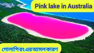 Pink lake in Australia || গোলাপি হ্রদ || গোলাপি রং হওয়ার পেছনে আসল কারণ কি? Bubblegum pink lake.