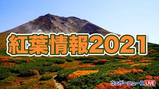 紅葉情報2021/京都は11月中旬に見頃