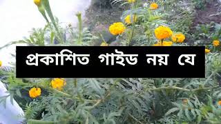 মেয়েরা কোনো লাইব্রেরির গাইড নয়