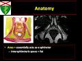 perianal fistulas lecture