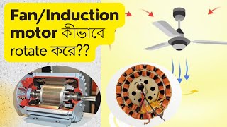 Fan/Induction motor working principle। ইন্ডাকশন মোটর/ac মোটর কী করে কাজ করে?