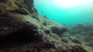 Diving behind the Mokes at Sunrise 27Aug2015 GOPR5570
