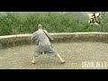 shaolin damo guai 少林之达摩杖 bodhidharma cane feng xue xi