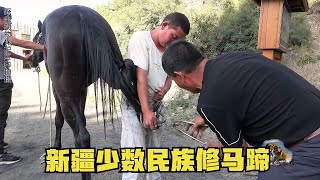 1278少数民族怎么修马蹄？3岁的马每月钉马掌，老师傅5分钟搞完一个