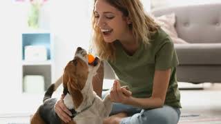 Pet experts share tips on bringing home new pets