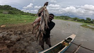 එලන දැල්වල  රිදි කාෆයෝ 😮 🐟@islandfishing  පඩිකැපුහෙල වැව ..🌱😍