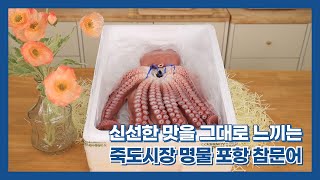 씹고 뜯고 맛보고 즐기는 '죽도시장 특산품'🐙 | 죽도시장  '포항참문어' (광고포함)