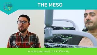 THE MESO