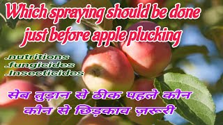 सेब तुड़ान से पहले कौन कौन से छिड़काव ज़रूरी || Pre harvest sprays in apple || @bagwanikibaat