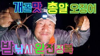 통영 오징어 낚시 완전정복 [정명화의 어! 명화극장 5화] Honey-flavored bullet squid night fishing