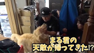 まる君の天敵が帰ってきた（きむ君）⁉︎