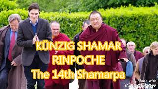 Tibetan latest 2018 song for H.H 14th Kunzig Shamarpa. Singer from Tibet !!