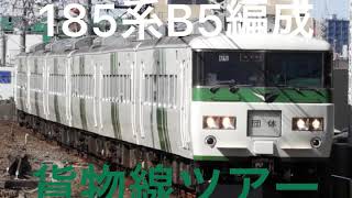 185系B5編成 貨物線ツアー