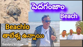 Peddaganjam beach | chinaganjam | near chirala beach