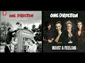 Nobody Compares X What A Feeling || One Direction Mashup by Carlos Intro Music & Mashup